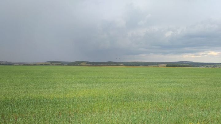 6 июньгә һава торышы