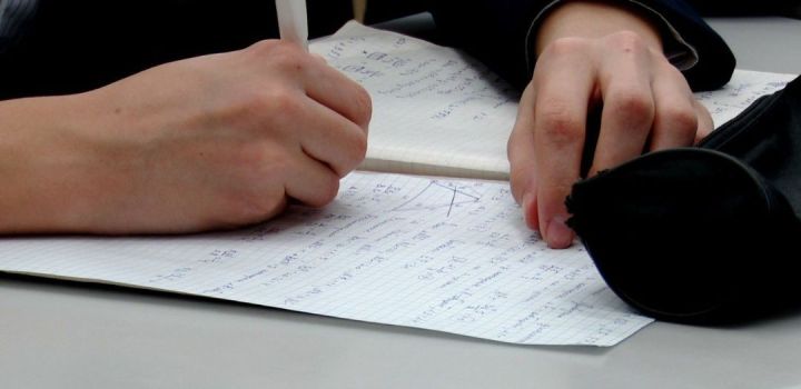 Әлмәтле «Мин – профессионал» олимпиадасында алтын медаль яулады