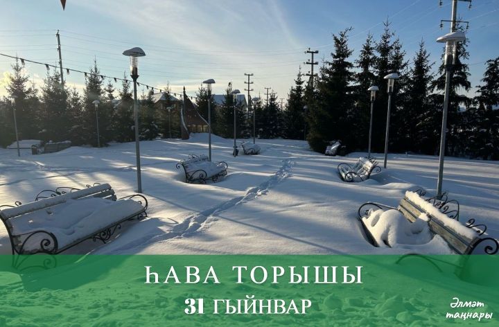31 гыйнварга һава торышы