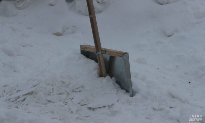 Әлмәттә администрация һәм шәһәр хезмәтләрендә эшләүчеләр өмәгә чыкты