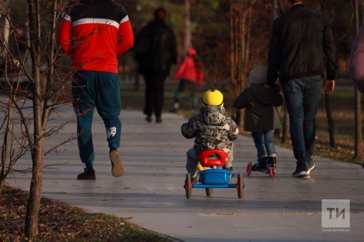 Әлмәтленең алимент буенча 1,3 млн сум бурычы җыелган