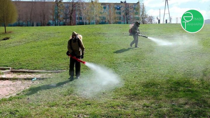 Әлмәттә паркларны акарицид белән эшкәртүне һава торышы начар булу сәбәпле 5 майга күчерделәр