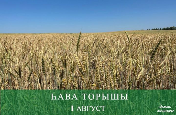 1 августка һава торышы