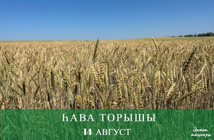 14 августка һава торышы