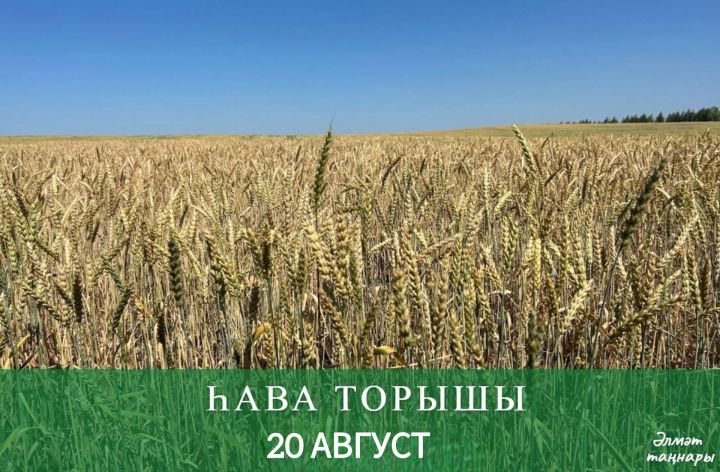 20 августка һава торышы