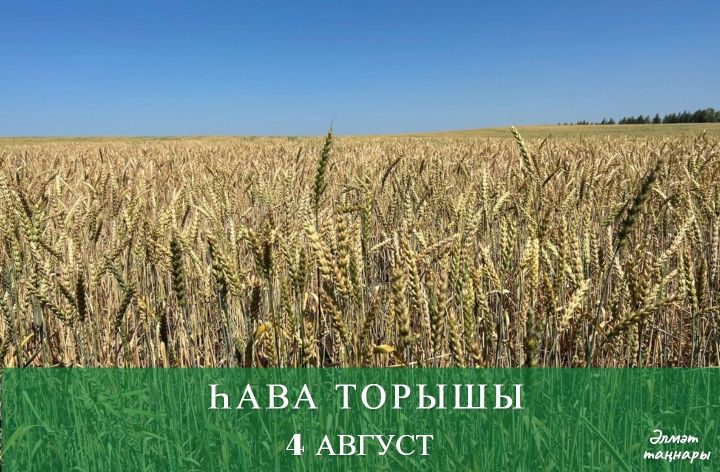 4 августа һава торышы