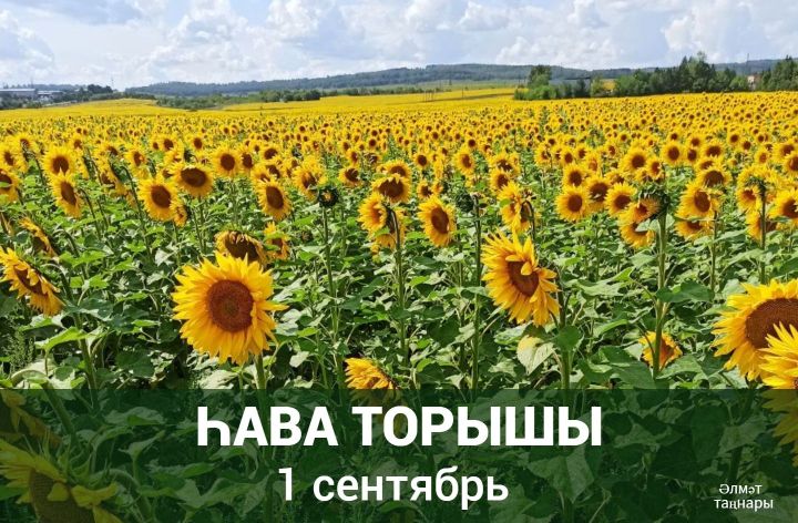 1 сентябрьгә һава торышы